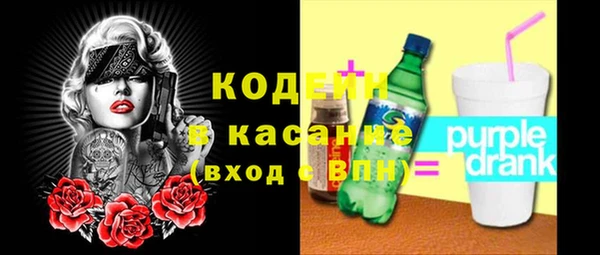 индика Алзамай