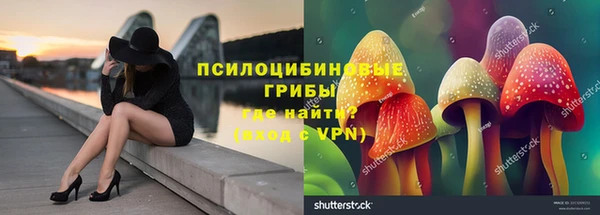 твердый Алексеевка