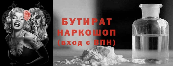 индика Алзамай