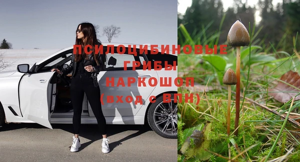 твердый Алексеевка