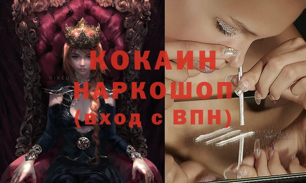 индика Алзамай