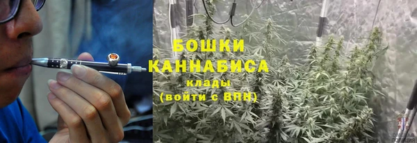 молекула духа Кострома