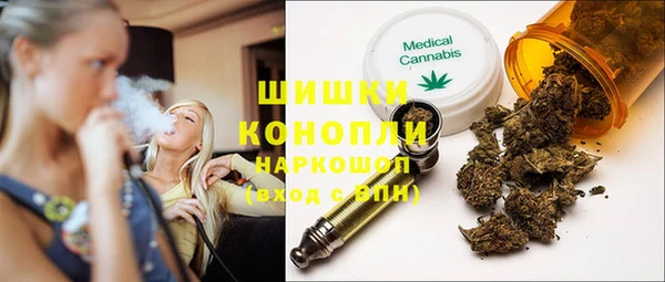 индика Алзамай