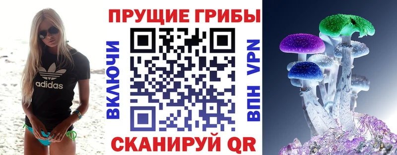 ссылка на мегу маркетплейс  Баймак  Псилоцибиновые грибы GOLDEN TEACHER 